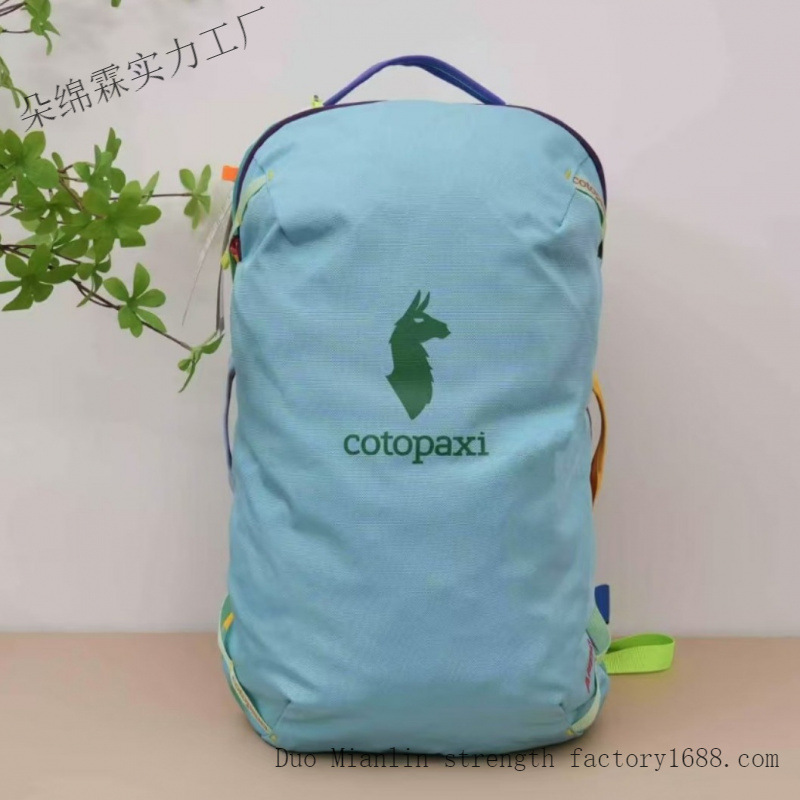 防水カラーブロックバックパック男性女性大容量旅行バッグアウト - Women Bags Medium Size のレビューと価格