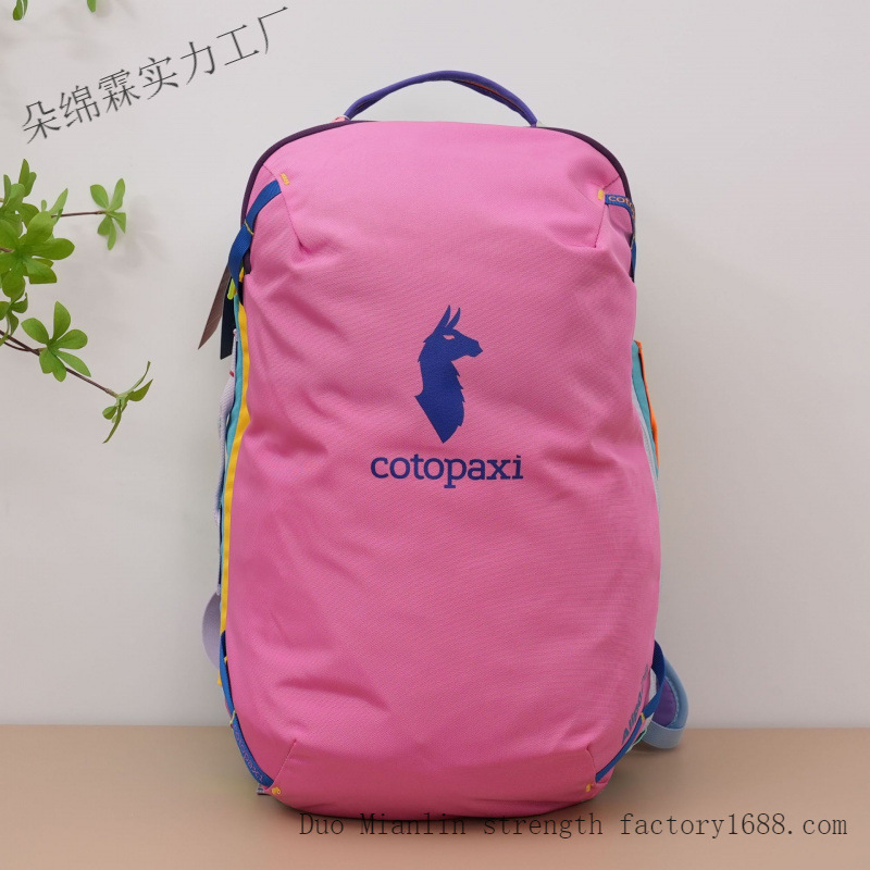 防水カラーブロックバックパック男性女性大容量旅行バッグアウト - Women Bags Medium Size のレビューと価格