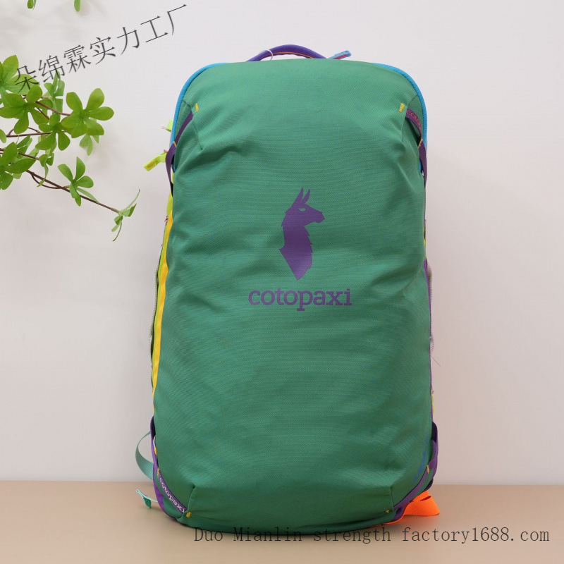 防水カラーブロックバックパック男性女性大容量旅行バッグアウト - Women Bags Medium Size のレビューと価格